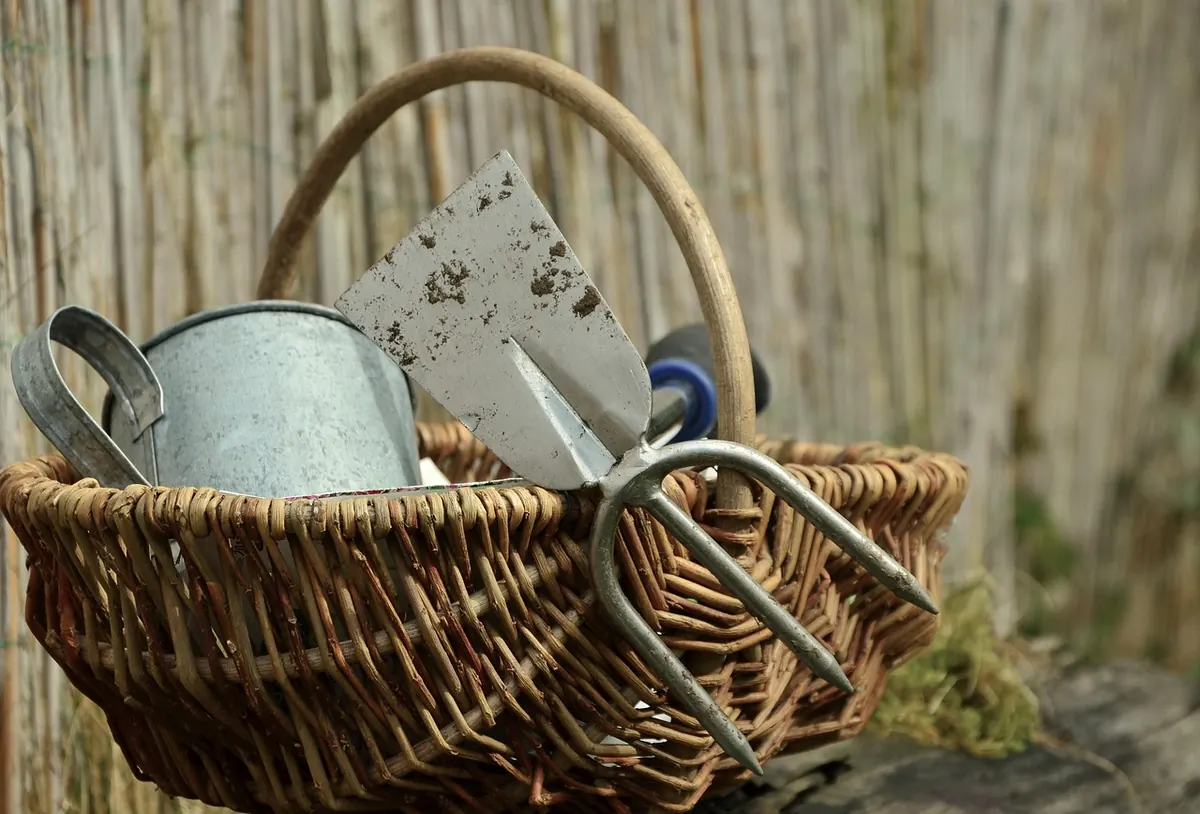 Allotment Plot Checklist: What to Do in Your First Month